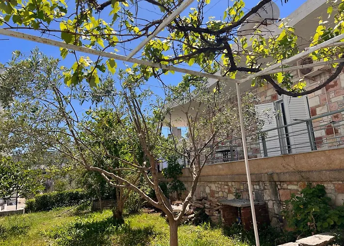 بيت ضيافة Breeze