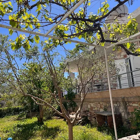 Πανσιόν Stone